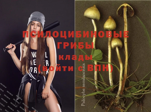 мет Няндома