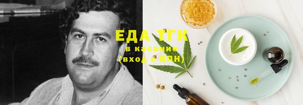 индика Новодвинск