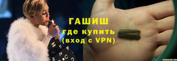 индика Новодвинск