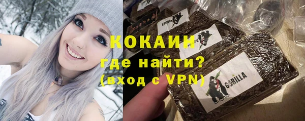 индика Новодвинск