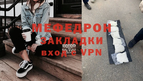 индика Новодвинск