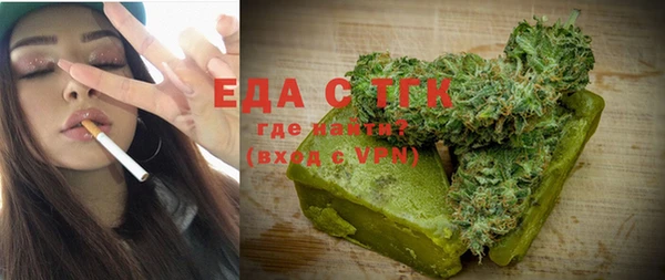 индика Новодвинск