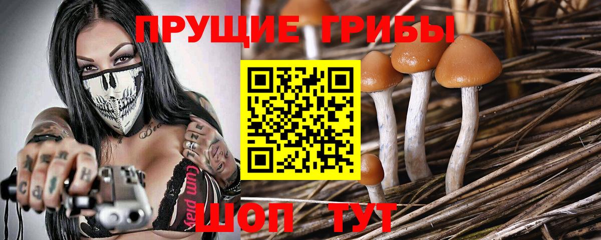 Псилоцибиновые грибы прущие грибы  Вход с VPN  Усолье-Сибирское 